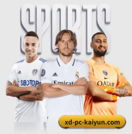 本站五个常用功能入口,赛程查询路径更短 - kaiyun